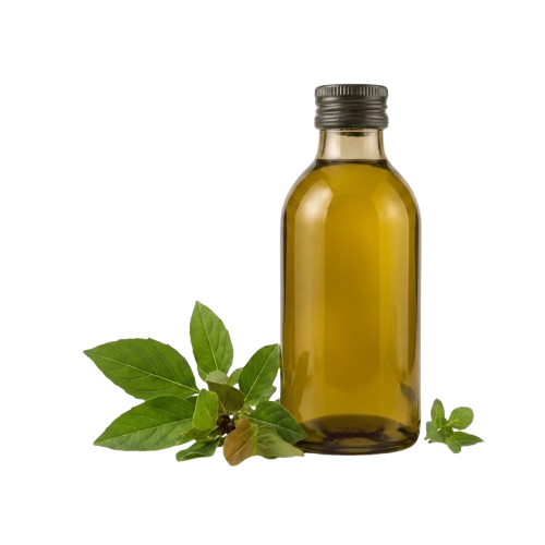 OIL