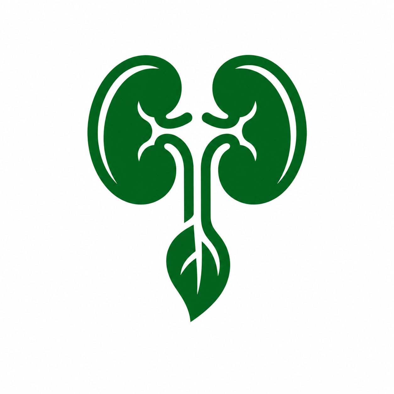 Kidney Care