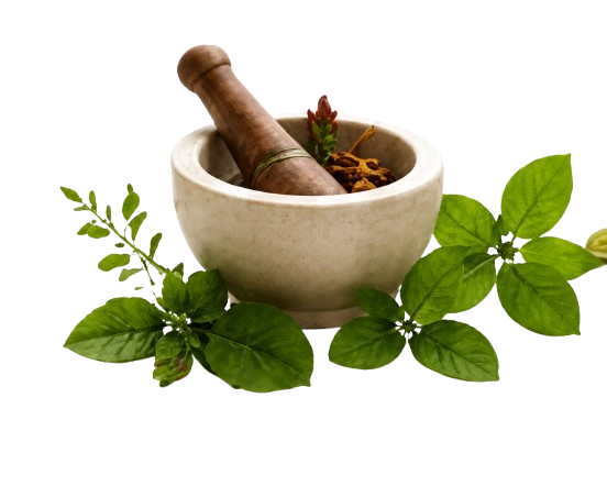 Ayurvedic Herbs